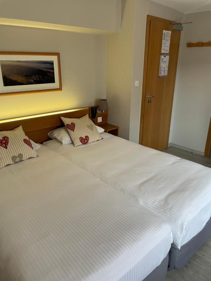 Hotel Sainte Odile Obernai Zewnętrze zdjęcie